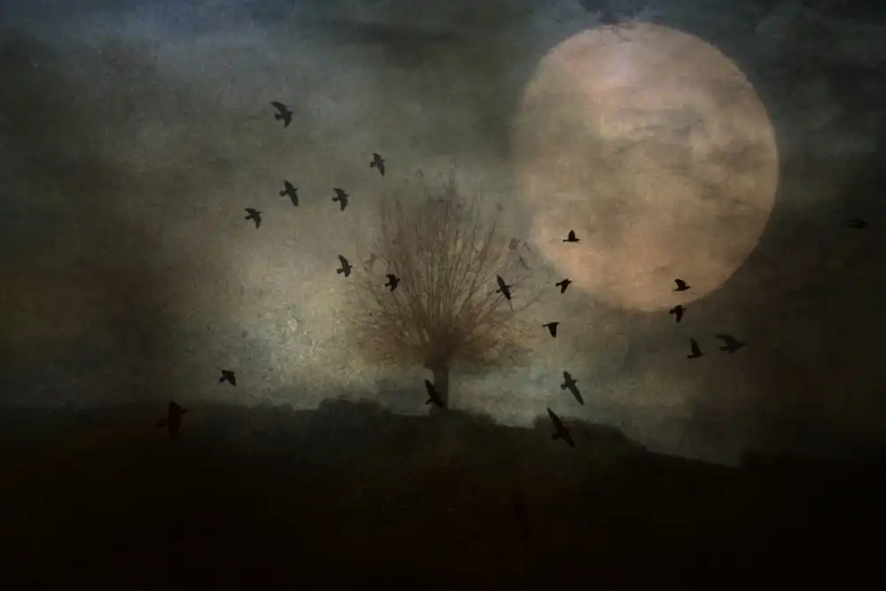 Fabrowski, Robert: Night is Coming