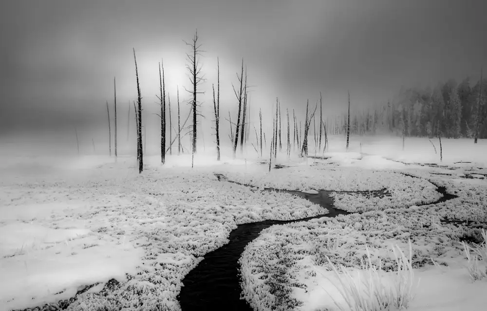 AN, ANNA: Winter Solstice