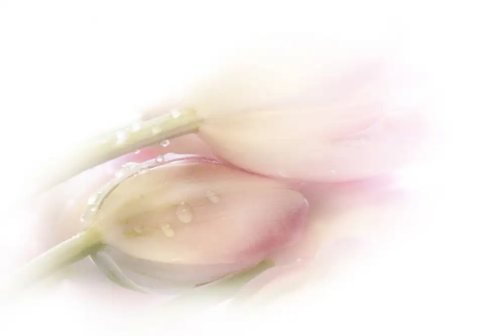 Eisele, Stefan: Touching
