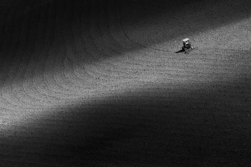 Manini, Filippo: Galleggiando tra le ombre