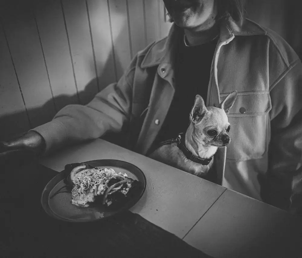 Ogazzi, Alex: Lunchtime
