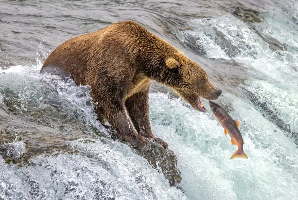 Lin, Ning: Buona pesca