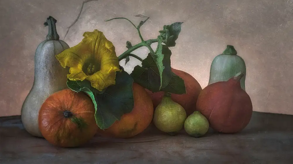 Stas, Marie-anne: Cosecha de otoño