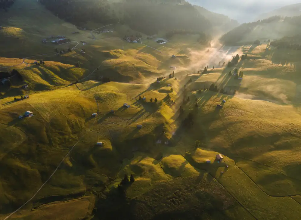 Krivec, Ales: Morning meadows