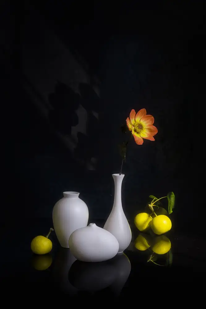 Jacobs, Lydia: Luce pomeridiana