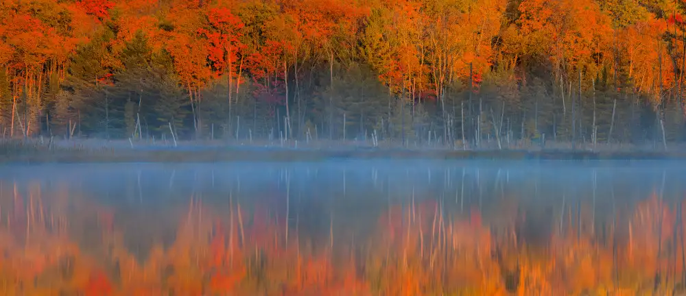 Fan, John: Pulses of the Autumn