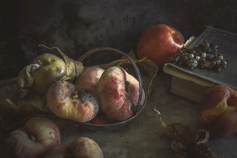 Tokarev, Igor: Still life with book and peaches