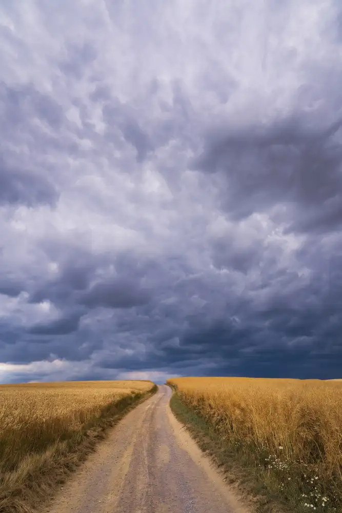 Maier, Norbert: Towards the storm