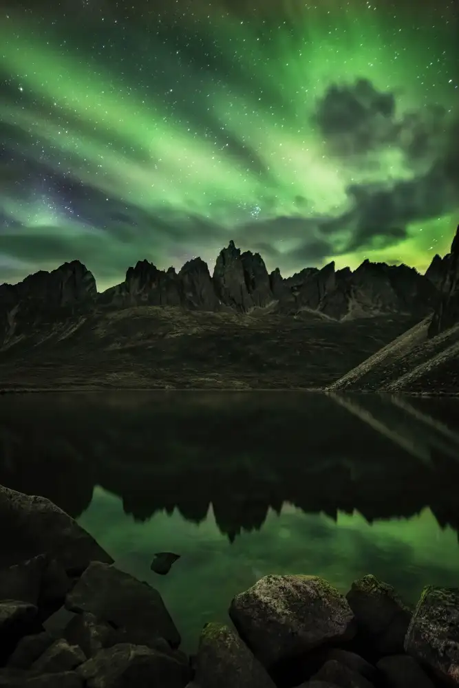 Zuo, Jun: Una notte verde