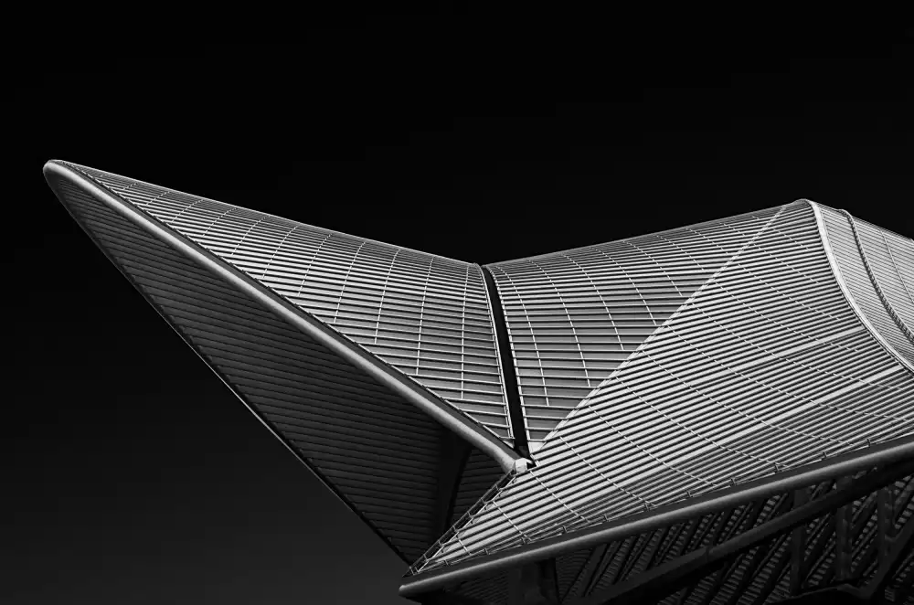 Weber, Roland: Liège-Guillemins