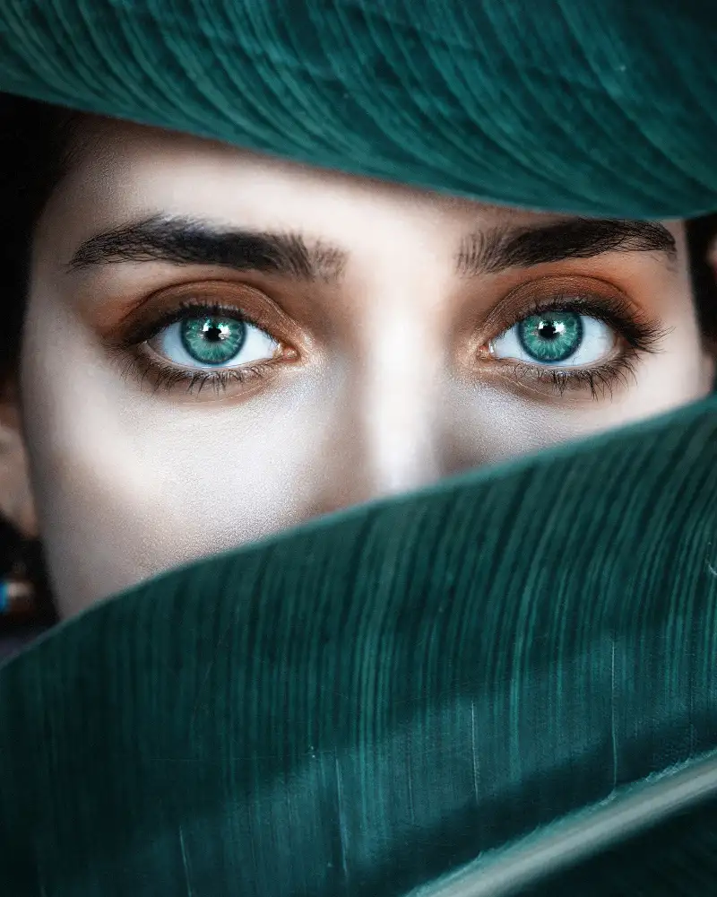 Heydari, Amir: A single color! (Minimal eyes)
