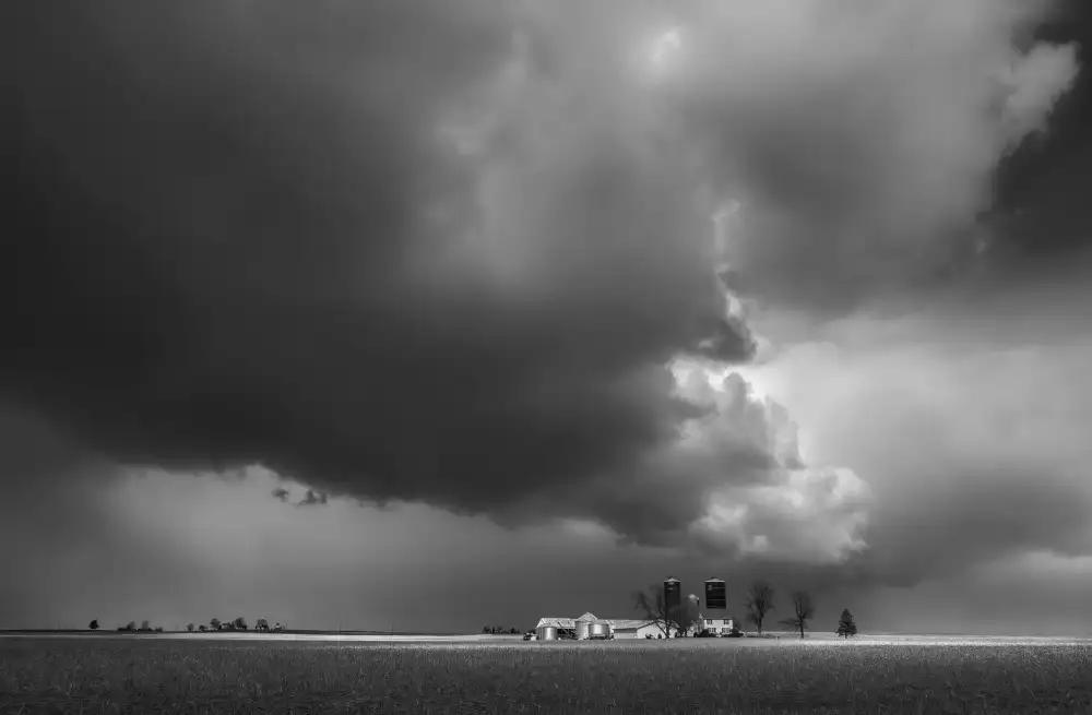 Liu, Wei: Storm over the Farm
