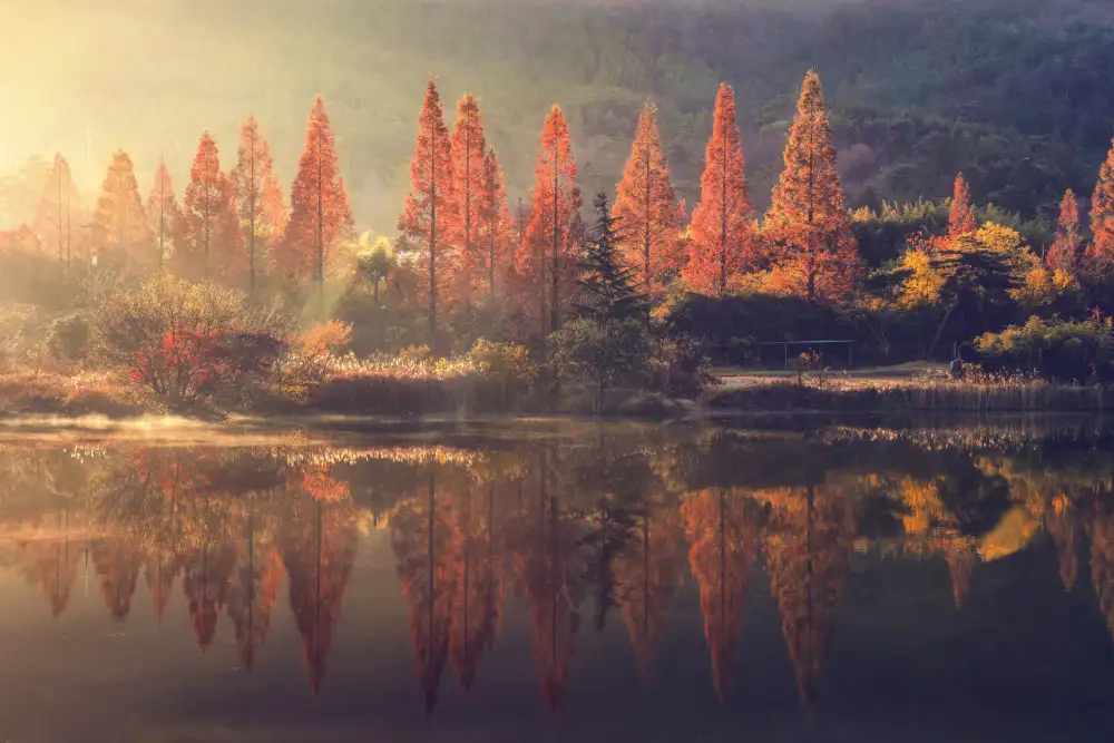 Seo, Tiger: Beautiful morning of the Obong reservoir