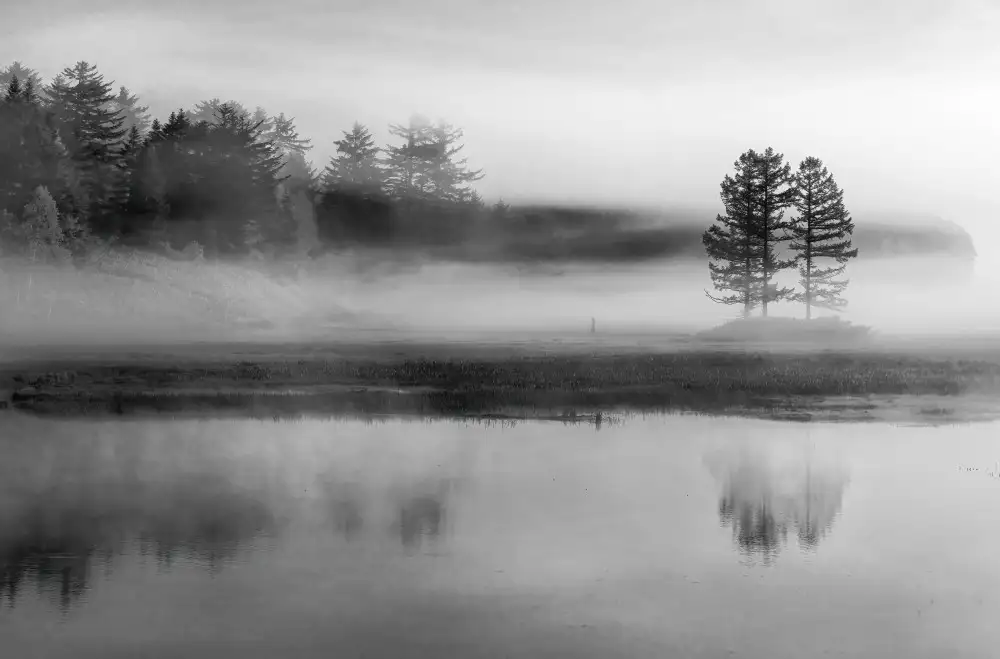 Hayashi, Osamu: in a foggy morning