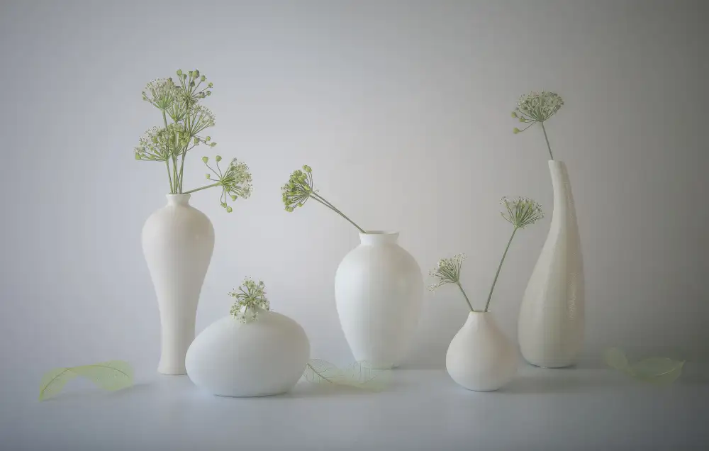 May, G.: Schnittlauchblüten