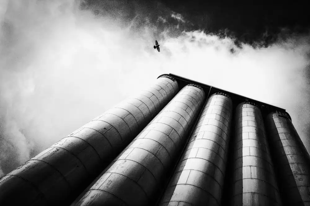 Droste, Holger: free
