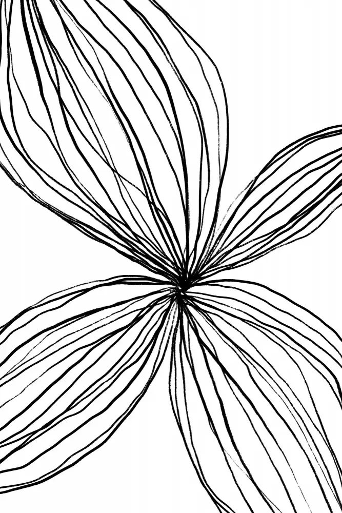uplusmestudio: Flowerina 2