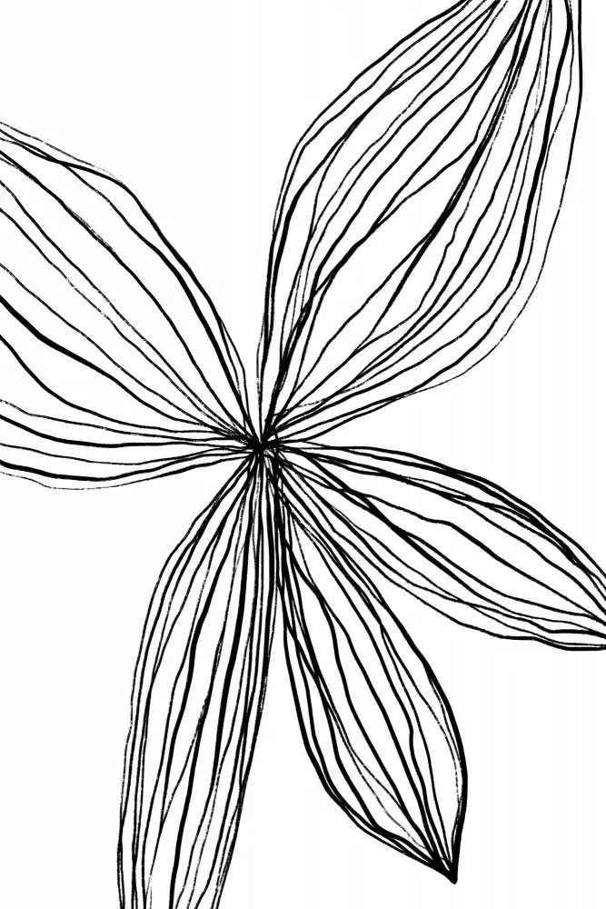 uplusmestudio: Flowerina 3