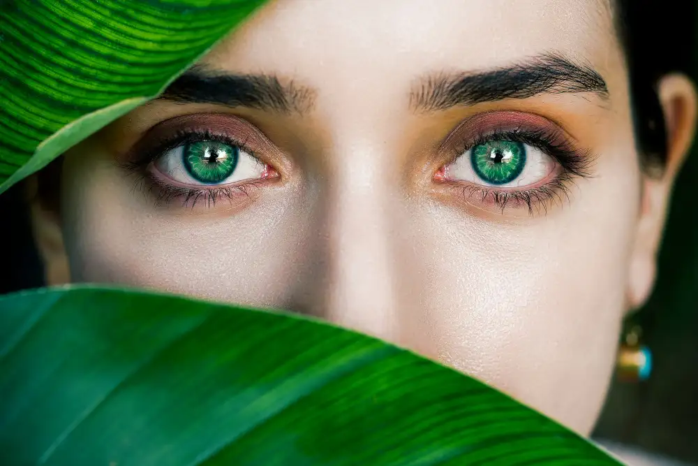 Heydari, Amir: Green Eyes