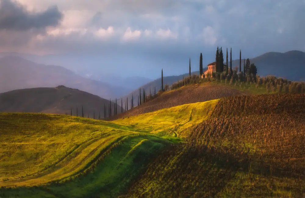 Prioteasa, Sebastian: Rolling Fields