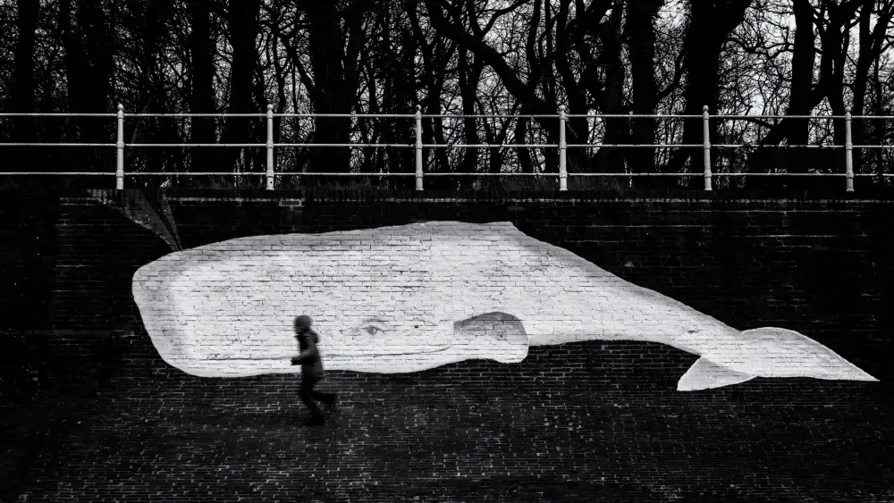 Klesse, Andreas: L'observation des baleines