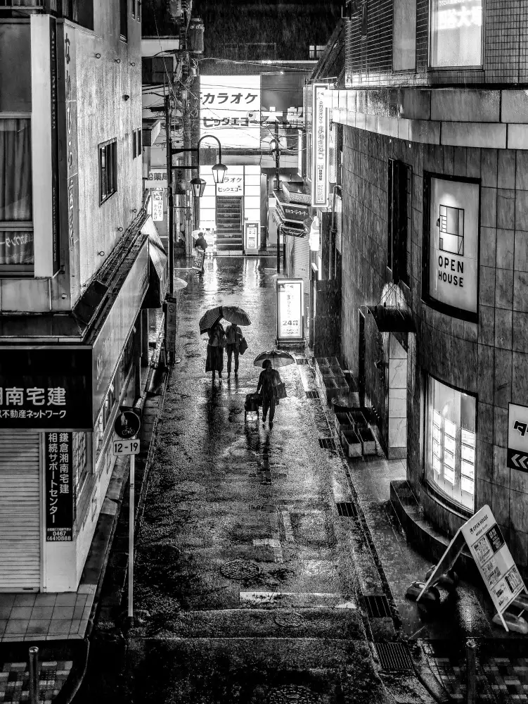Hasegawa, Takashi: Hard Rain II