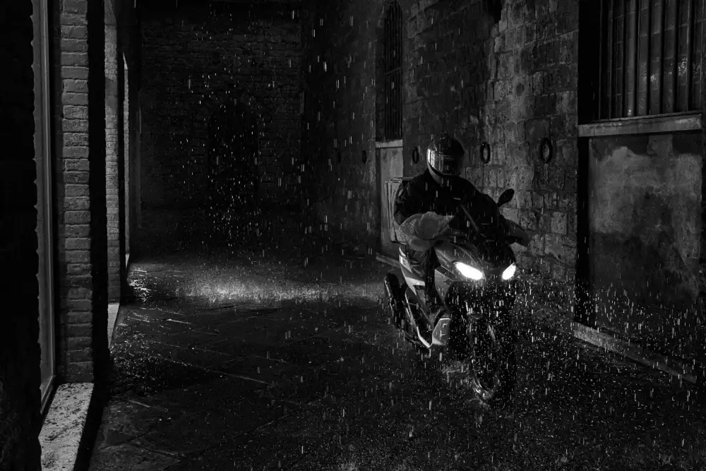 Domenichi, Luca: delivery