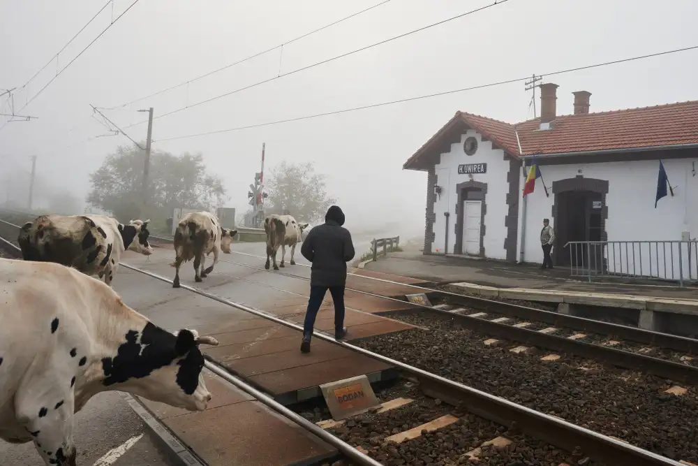 Pirvulescu, Panfil: Mattinata alla Stazione