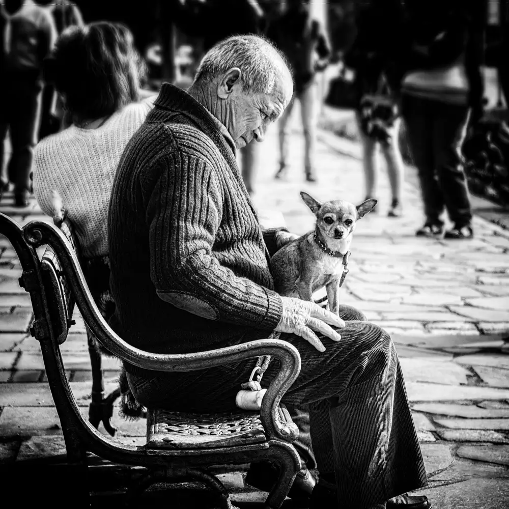 Tänzer, Ina: me and my dog