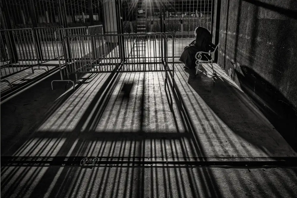 Klabus, Aleš: Fences, shadows