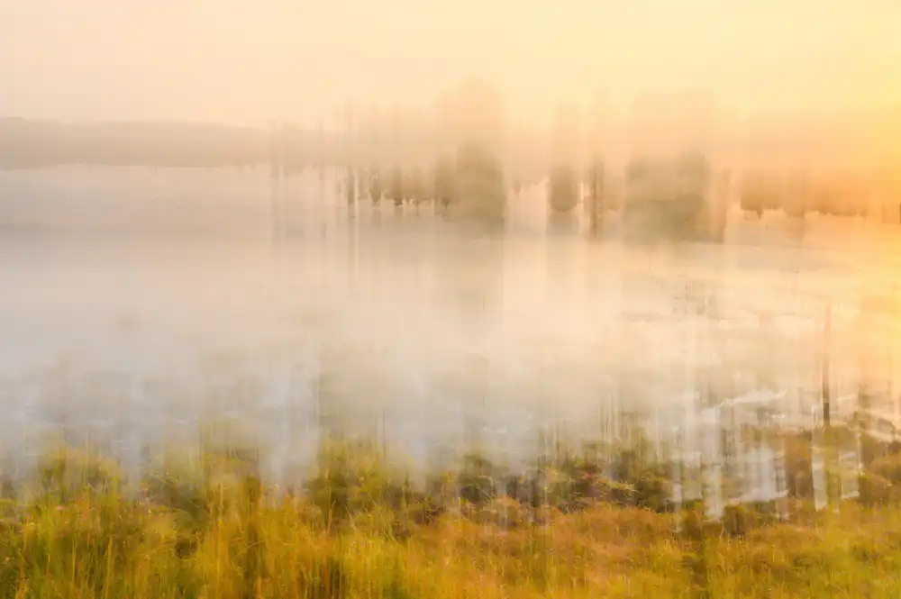 Bouhuijzen, Ina: Foggy morning