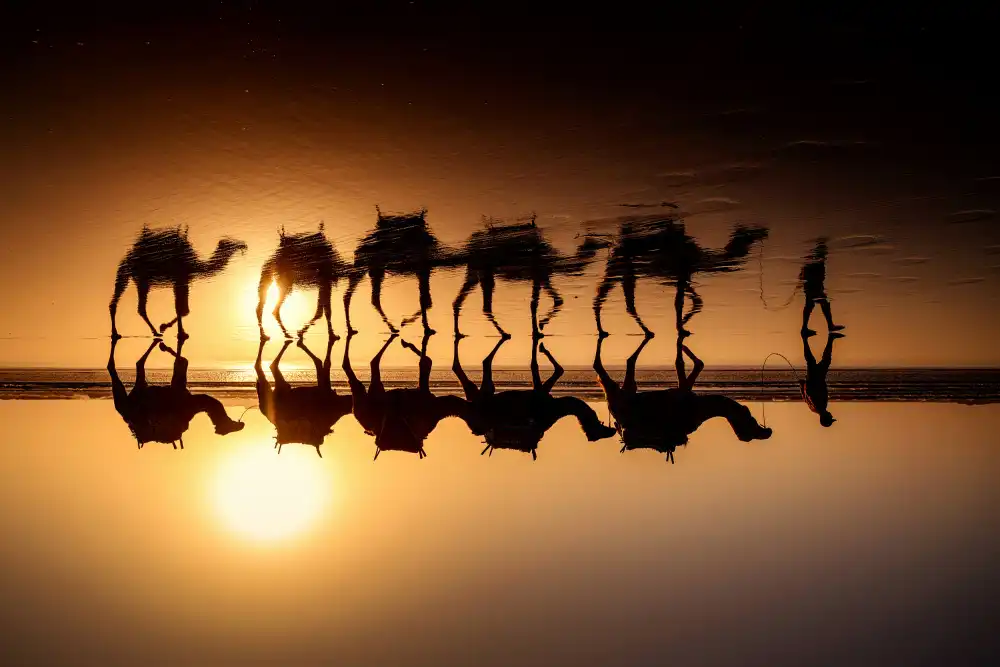 Buliga, Gina: Morocco - the silence of  earth