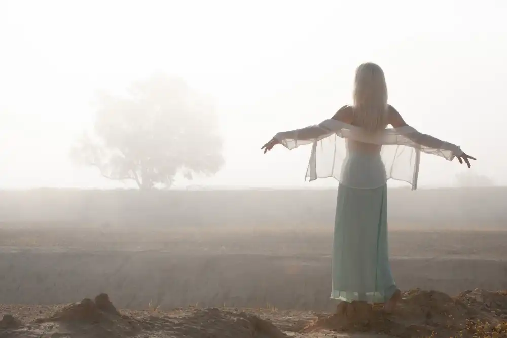 Falik, Ohad: The tree across the canyon