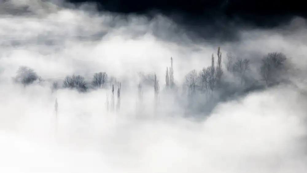 Thierry, Barré: Cloud forest ...