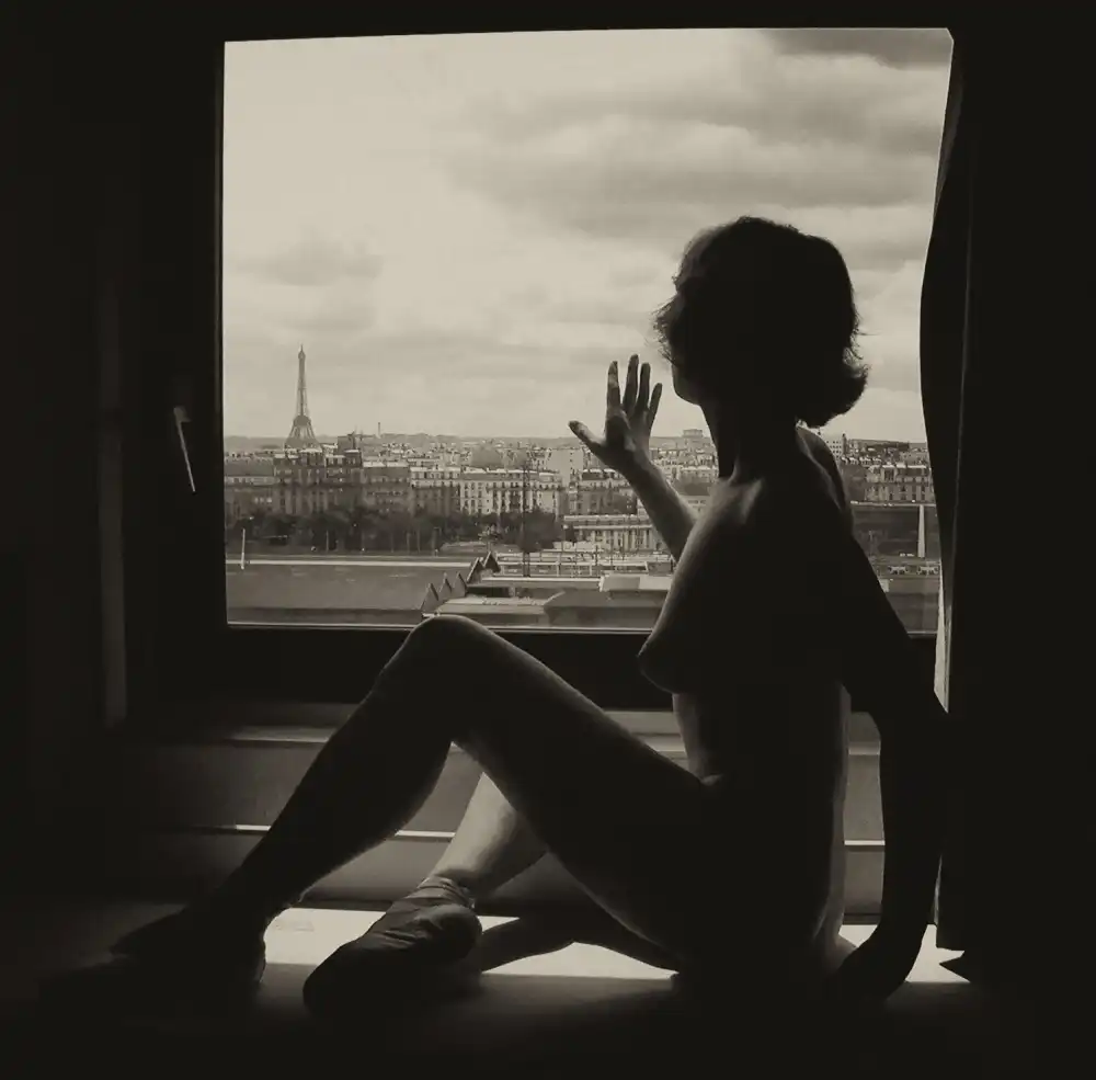 Strelok: Window to Paris
