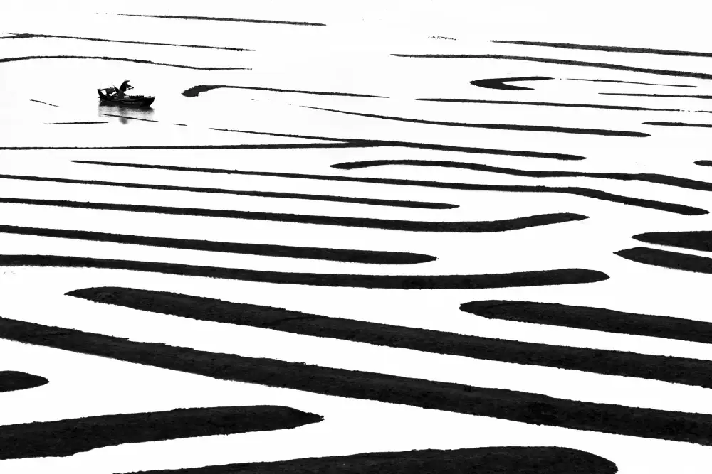 Jin, Jie: Labyrinthe marin