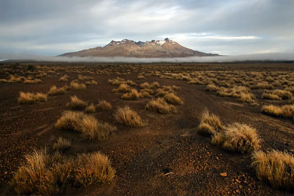 Keca, Dragan: Rangipo Desert