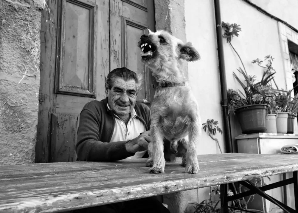 Costa, Carlos: Nessun nome