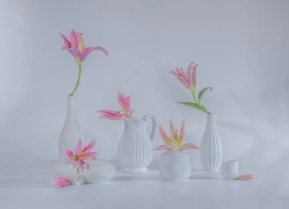Sheng, Alice: nature morte 57