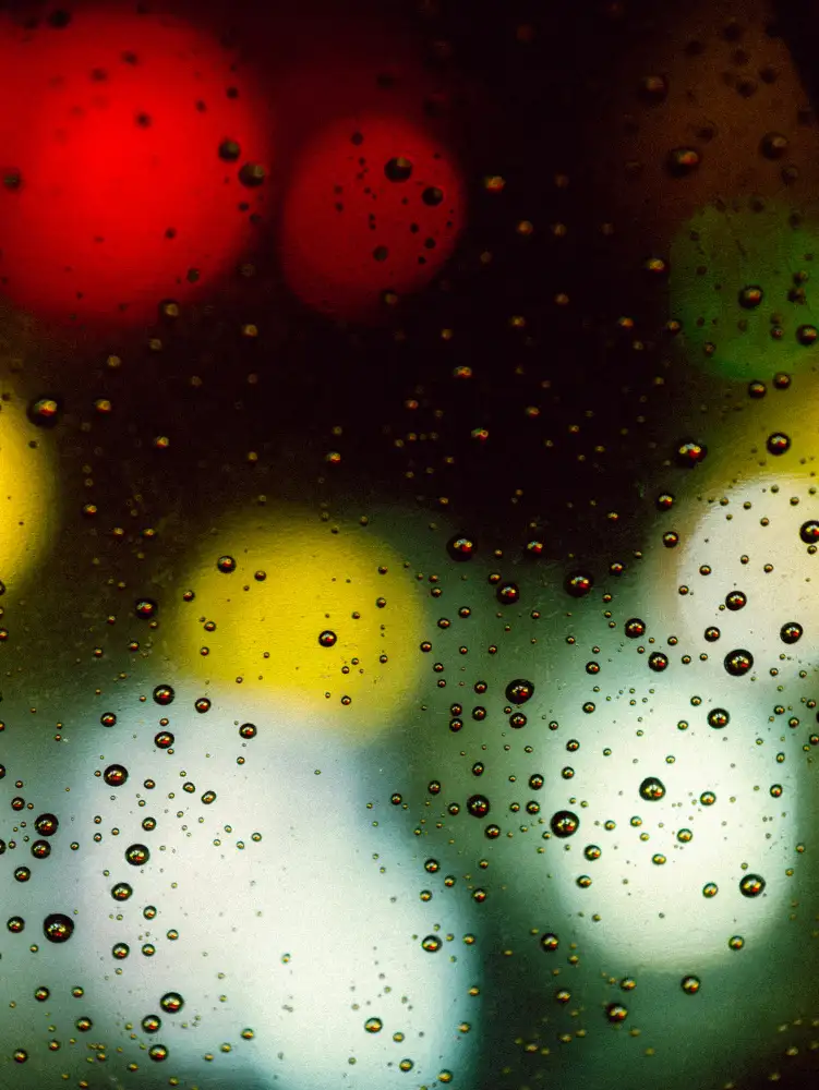 Hasegawa, Takashi: Rainy day II