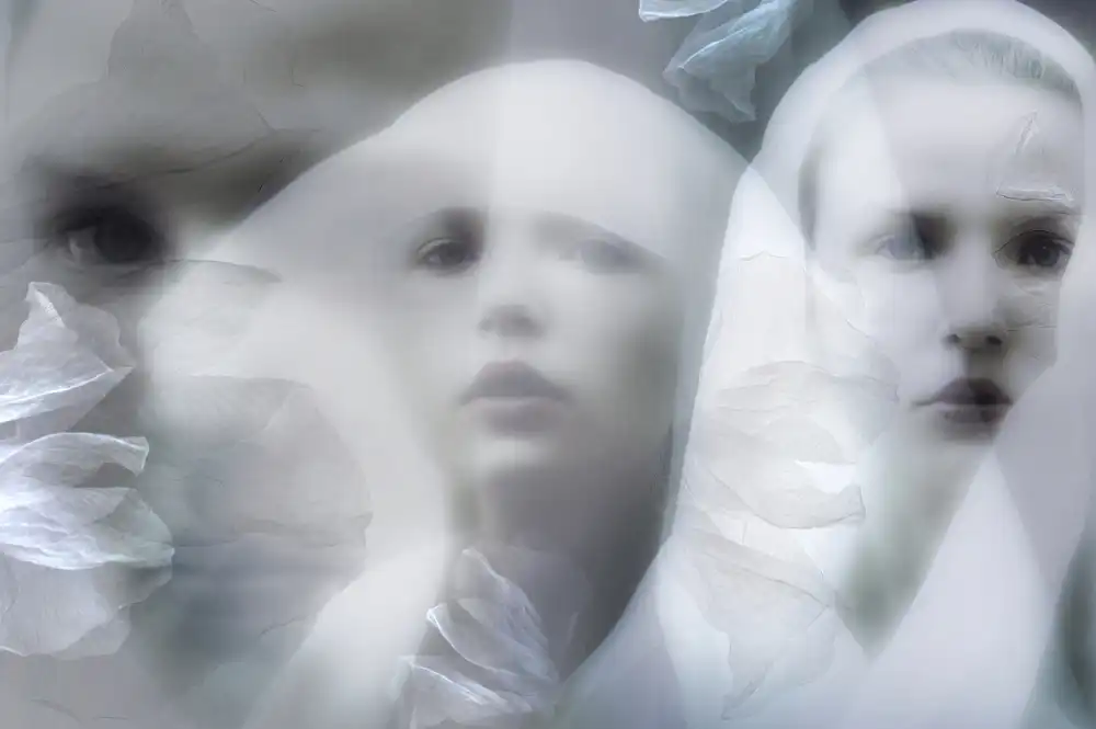 Shumilova, Ludmila: The white veil