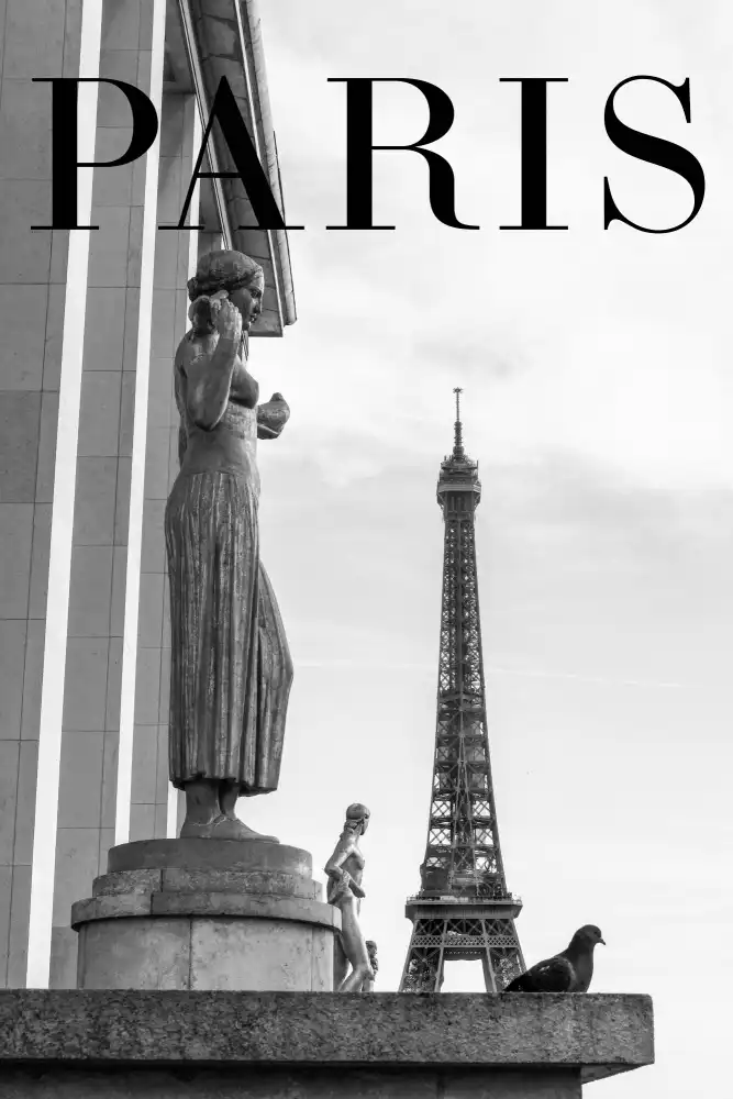 Studio, Pictufy: Testo di Parigi 5