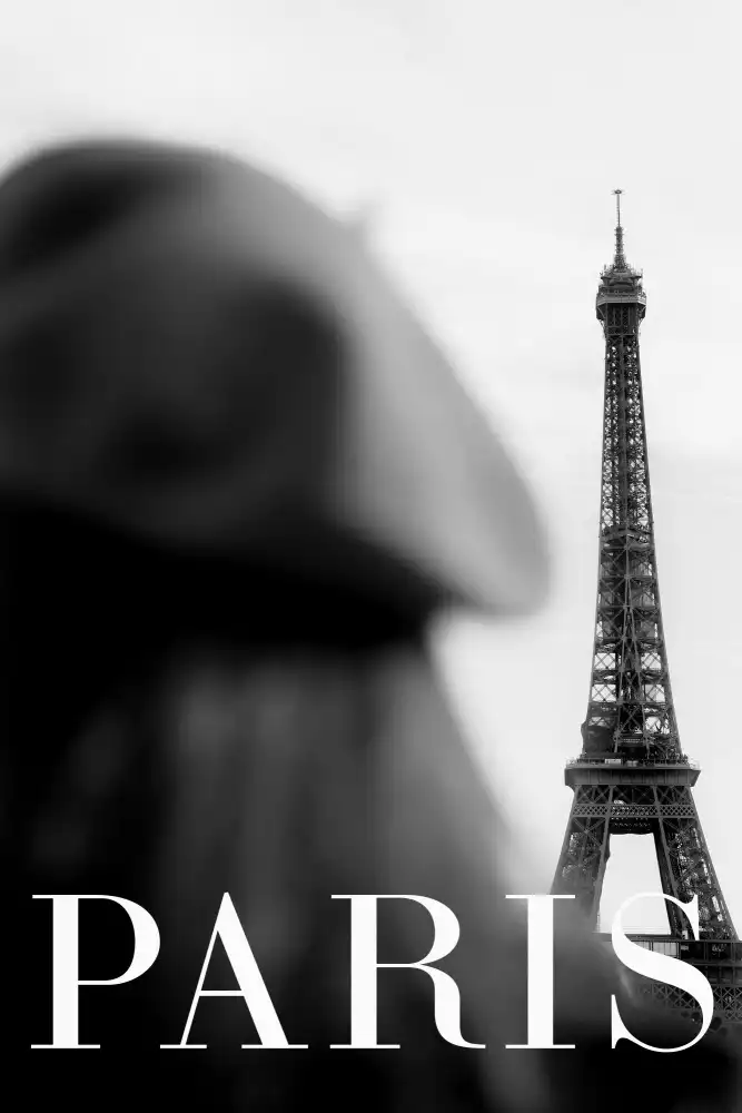 Studio, Pictufy: Testo di Parigi 4