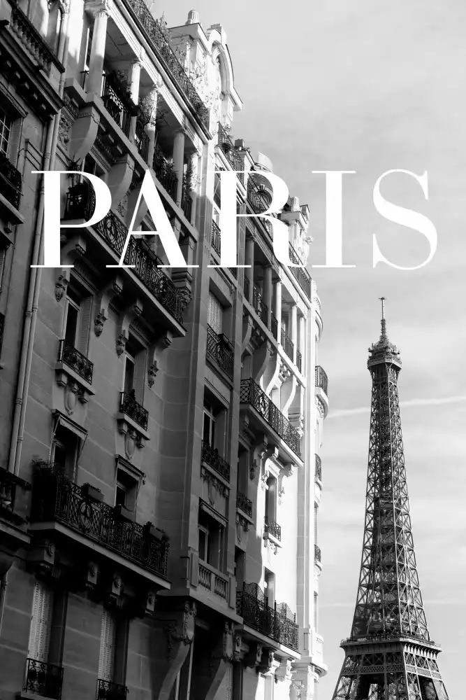 Studio, Pictufy: Testo di Parigi 3
