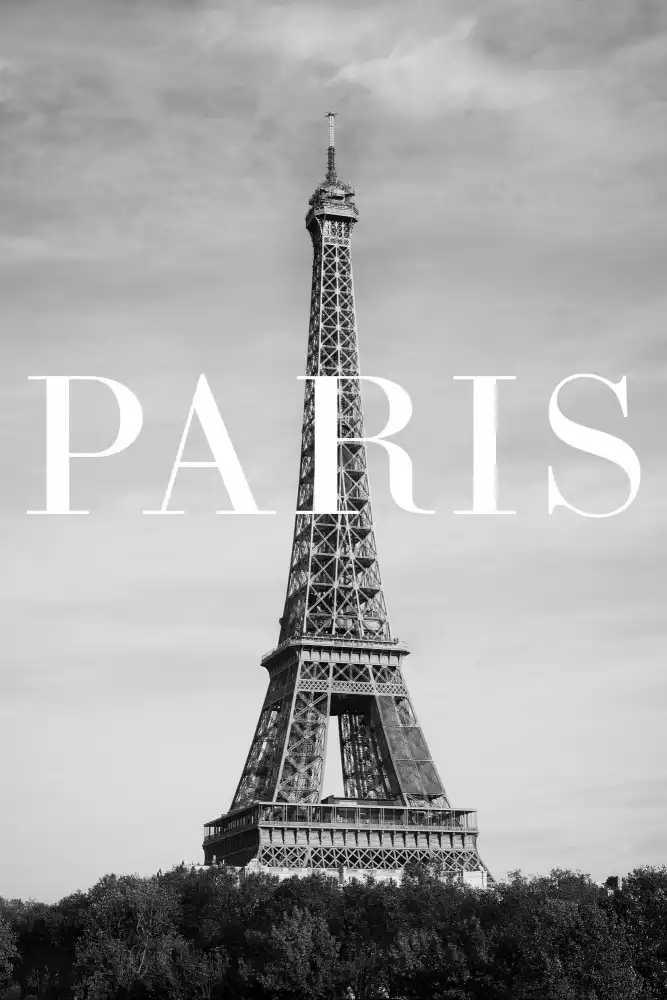 Studio, Pictufy: Testo di Parigi 2