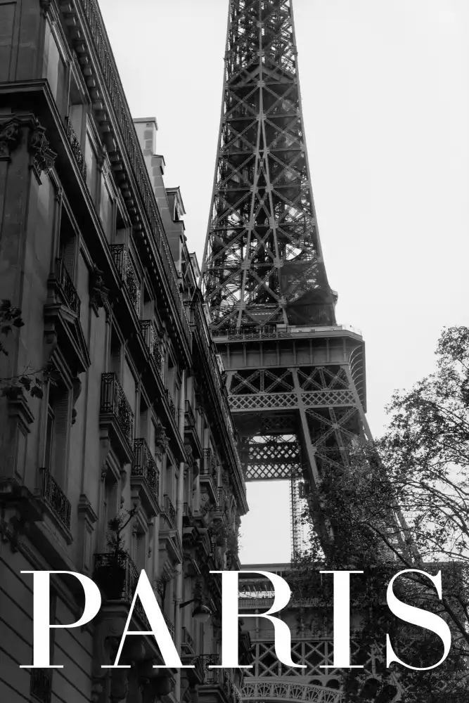 Studio, Pictufy: Testo di Parigi 1
