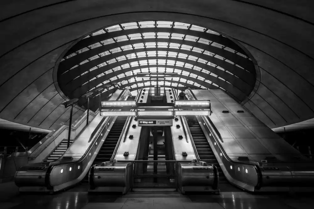 Silveira, Fernando: Way out