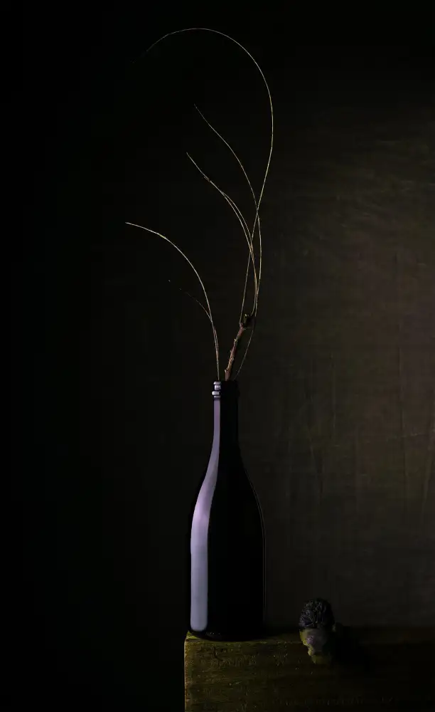 Dhuper, Sumit: Still Life Art