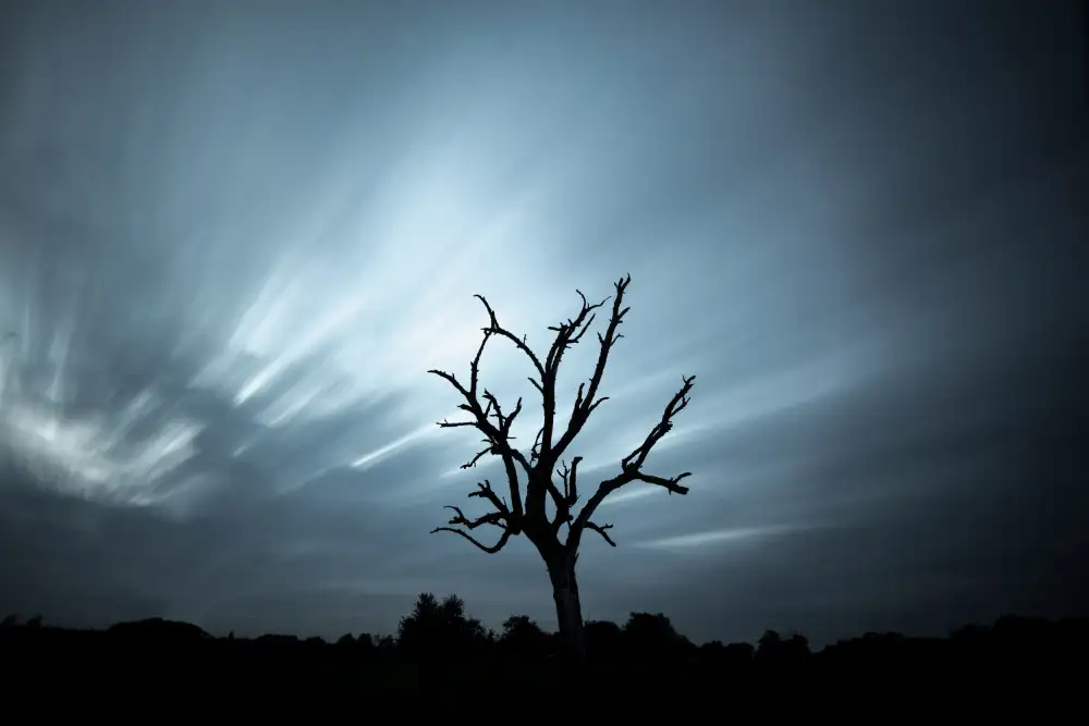 Louwen, Fred: ein toter Baum