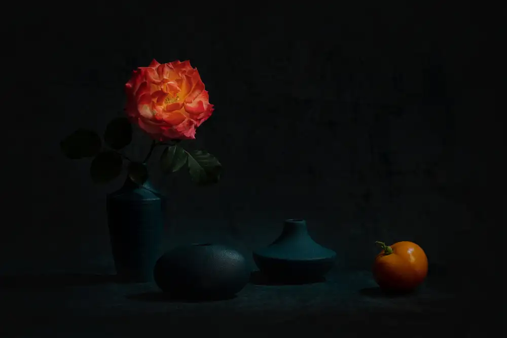 Jacobs, Lydia: Rose und Tomate
